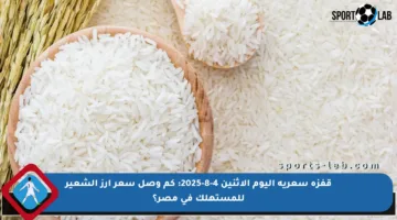 قفزة سعرية اليوم الاثنين 4-8-2025: كم وصل سعر أرز الشعير للمستهلك في مصر؟